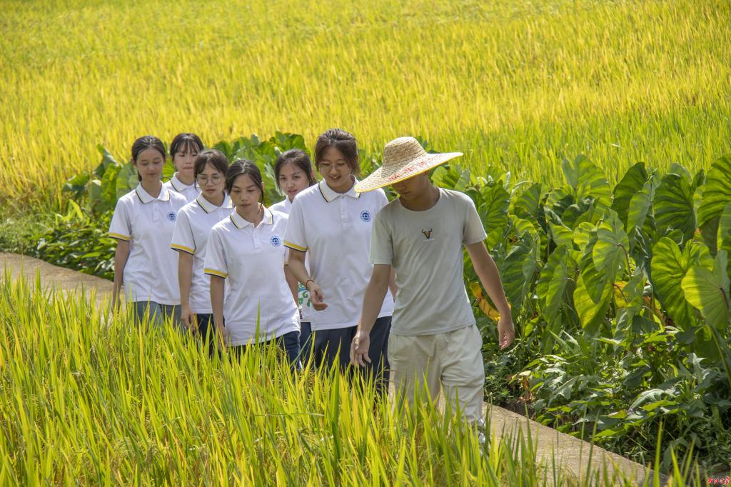 1691465496209211.jpg yl23455永利官网三下乡实践团队深入田间地头和新农人共同探寻农业产业发展之道。yl23455永利官网供图.jpg